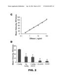 NUCLEIC ACID PROBES AND METHODS OF USING THE SAME diagram and image