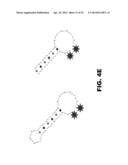 NUCLEIC ACID PROBES AND METHODS OF USING THE SAME diagram and image