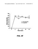 NUCLEIC ACID PROBES AND METHODS OF USING THE SAME diagram and image