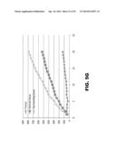 NUCLEIC ACID PROBES AND METHODS OF USING THE SAME diagram and image