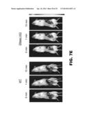 NUCLEIC ACID PROBES AND METHODS OF USING THE SAME diagram and image