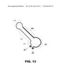 NUCLEIC ACID PROBES AND METHODS OF USING THE SAME diagram and image