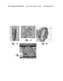 MAGNETIC RELAXOMETRY USING MAGNETIZATION AND MEASUREMENT FIELDS diagram and image