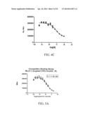 MELANOCORTIN 1 RECEPTOR LIGANDS AND METHODS OF USE diagram and image