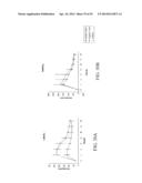 MELANOCORTIN 1 RECEPTOR LIGANDS AND METHODS OF USE diagram and image