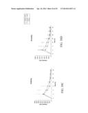 MELANOCORTIN 1 RECEPTOR LIGANDS AND METHODS OF USE diagram and image