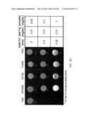 MELANOCORTIN 1 RECEPTOR LIGANDS AND METHODS OF USE diagram and image