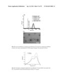 CROSSLINKED POLYMER NANO-ASSEMBLIES AND USES THEREOF diagram and image