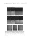 CROSSLINKED POLYMER NANO-ASSEMBLIES AND USES THEREOF diagram and image