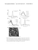 CROSSLINKED POLYMER NANO-ASSEMBLIES AND USES THEREOF diagram and image