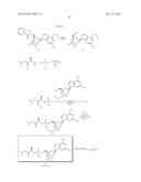 2 ,4 -BRIDGED NUCLEOSIDES FOR HCV INFECTION diagram and image