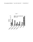 Optimized Antibodies That Target CD19 diagram and image