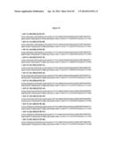 Optimized Antibodies That Target CD19 diagram and image