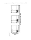 SINGLE CHAIN ANTIGEN RECOGNIZING CONSTRUCTS (scARCs) STABILIZED BY THE     INTRODUCTION OF NOVEL DISULFIDE BONDS diagram and image