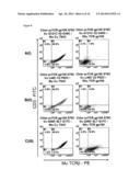 SINGLE CHAIN ANTIGEN RECOGNIZING CONSTRUCTS (scARCs) STABILIZED BY THE     INTRODUCTION OF NOVEL DISULFIDE BONDS diagram and image