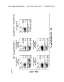 SINGLE CHAIN ANTIGEN RECOGNIZING CONSTRUCTS (scARCs) STABILIZED BY THE     INTRODUCTION OF NOVEL DISULFIDE BONDS diagram and image