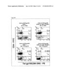 SINGLE CHAIN ANTIGEN RECOGNIZING CONSTRUCTS (scARCs) STABILIZED BY THE     INTRODUCTION OF NOVEL DISULFIDE BONDS diagram and image