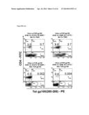 SINGLE CHAIN ANTIGEN RECOGNIZING CONSTRUCTS (scARCs) STABILIZED BY THE     INTRODUCTION OF NOVEL DISULFIDE BONDS diagram and image