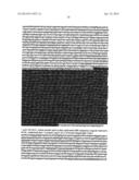 BISPECIFIC MONOCLONAL ANTIBODY THERAPEUTICS AGAINST WEST NILE VIRUS WITH     IMPROVED CNS PENETRATION diagram and image