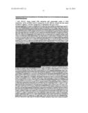 BISPECIFIC MONOCLONAL ANTIBODY THERAPEUTICS AGAINST WEST NILE VIRUS WITH     IMPROVED CNS PENETRATION diagram and image