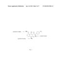 DEUTERIUM-ENRICHED     4-HYDROXY-5-METHOXY-N,1-DIMETHYL-2-OXO-N-[(4-TRIFLUORO-METHYL)PHENYL]-1,2-    -DIHYDROQUINOLINE-3-CARBOXAMIDE diagram and image