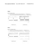 Method for Preventing High Molecular Weight Products During Amplification diagram and image