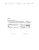 Method for Preventing High Molecular Weight Products During Amplification diagram and image