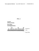 METHOD FOR ANALYZING PROTEIN-PROTEIN INTERACTION ON SINGLE-MOLECULE LEVEL     IN CELL ENVIRONMENT, AND METHOD FOR MEASURING DENSITY OF PROTEIN     ACTIVATED IN CYTOSOL diagram and image