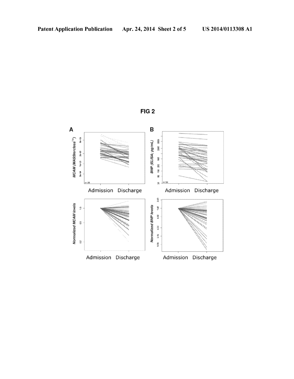 MCAM AS A BIOMARKER FOR FLUID HOMEOSTASIS - diagram, schematic, and image 03