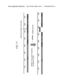COMPOSITIONS AND METHODS FOR DOWNREGULATING PROKARYOTIC GENES diagram and image