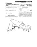 Exercise Apparatus and Method of Use diagram and image