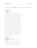 HYBRIDOMA CLONES AND MONOCLONAL ANTIBODIES TO ING4 diagram and image