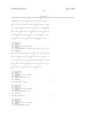 HYBRIDOMA CLONES AND MONOCLONAL ANTIBODIES TO ING4 diagram and image