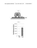 PEPTIDE FOR INHIBITION OF BINDING BETWEEN ANGIOPOIETIN-2 AND INTEGRIN AND     USE THEREOF diagram and image