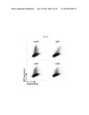 PEPTIDE FOR INHIBITION OF BINDING BETWEEN ANGIOPOIETIN-2 AND INTEGRIN AND     USE THEREOF diagram and image