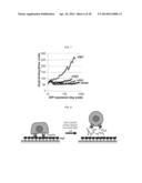 PEPTIDE FOR INHIBITION OF BINDING BETWEEN ANGIOPOIETIN-2 AND INTEGRIN AND     USE THEREOF diagram and image