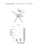 PEPTIDE FOR INHIBITION OF BINDING BETWEEN ANGIOPOIETIN-2 AND INTEGRIN AND     USE THEREOF diagram and image