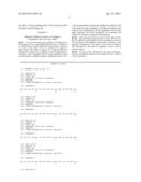 PEPTIDE FOR INHIBITION OF BINDING BETWEEN ANGIOPOIETIN-2 AND INTEGRIN AND     USE THEREOF diagram and image