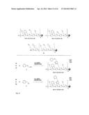 METHOD FOR SITE-SPECIFIC POLYVALENT DISPLAY ON POLYMERS diagram and image