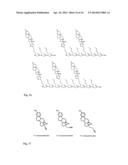 METHOD FOR SITE-SPECIFIC POLYVALENT DISPLAY ON POLYMERS diagram and image