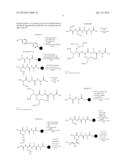 PEPTIDE ANALOGUES WITH AN EXCELLENT MOISTURIZING EFFECT AND USE THEREOF diagram and image