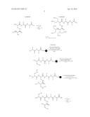 PEPTIDE ANALOGUES WITH AN EXCELLENT MOISTURIZING EFFECT AND USE THEREOF diagram and image