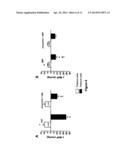 NOVEL AGONISTS AND ANTAGONISTS OF THE UROTENSINERGIC SYSTEM diagram and image