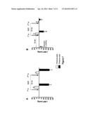 NOVEL AGONISTS AND ANTAGONISTS OF THE UROTENSINERGIC SYSTEM diagram and image