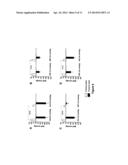 NOVEL AGONISTS AND ANTAGONISTS OF THE UROTENSINERGIC SYSTEM diagram and image