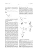 MODIFIED 2  AND 3 -NUCLEOSIDE PRODRUGS FOR TREATING FLAVIVIRIDAE     INFECTIONS diagram and image