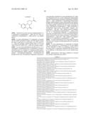 INHIBITION OF PHOSPHORYLATION OF PRAS40, GSK3-BETA OR P70S6K1 AS A MARKER     FOR TOR KINASE INHIBITORY ACTIVITY diagram and image