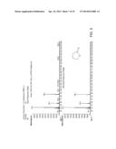 Biorefinery Process For THF Production diagram and image