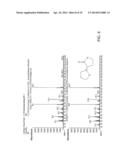 Biorefinery Process For THF Production diagram and image