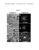 Oxidative dehydrogenation of ethane to ethylene and preparation of     multimetallic mixed oxide catalyst for such process diagram and image